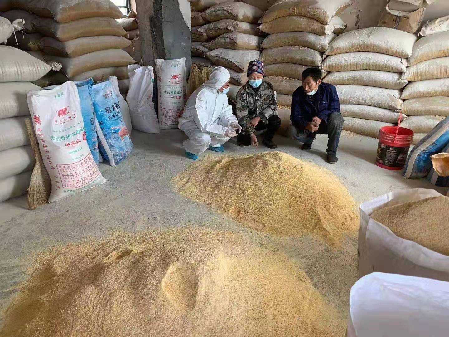 奋进红兴隆 | 唱响雁乡新牧歌——聚焦畜牧业转型升级的“八五三探索”与畜牧渔业饲料销售