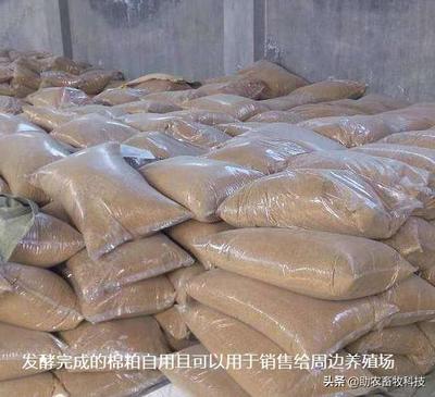 发酵饲料 抗生素替代与中小养殖场无抗养殖的可行性分析