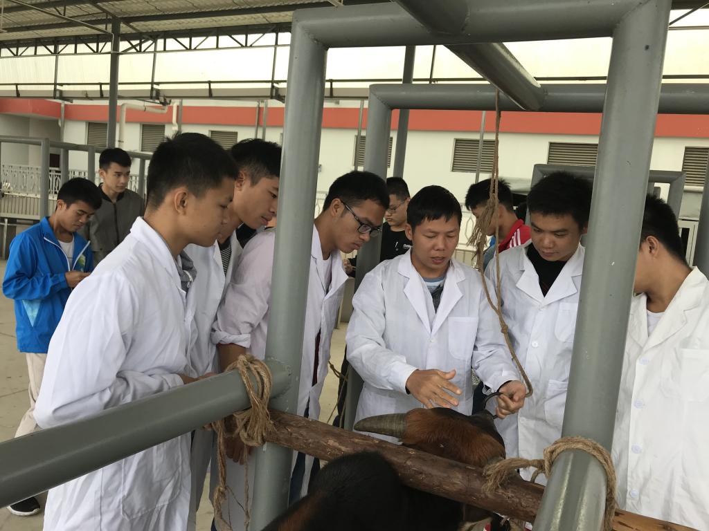 学畜牧技术，走致富之路——畜牧渔业饲料销售的关键策略