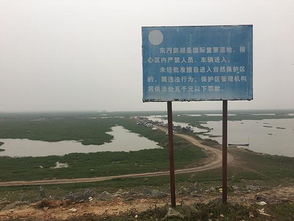 洞庭湖污染治理面临严峻挑战 中央环保督查下达紧急整改令