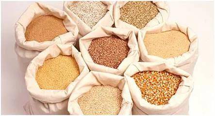 买料啦 开启畜牧渔业饲料营销新篇章