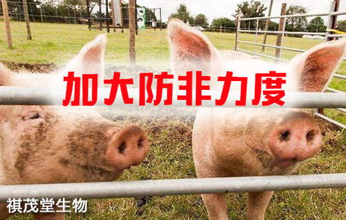 筑牢生物安全屏障 抓实关键措施，防控重大疫病，保障畜牧渔业饲料销售稳定