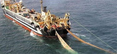 探秘‘海洋巨兽’ 造价四亿的世界最大渔船，万吨渔获背后的畜牧渔业饲料销售链