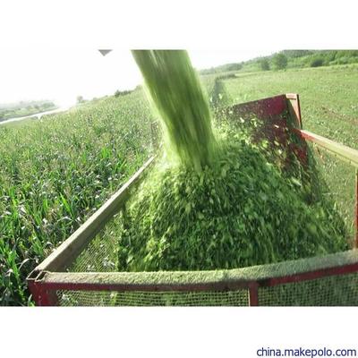 吉林创新发布悬挂式玉米青储机割台 犇牛大型青饲料收割机价格与畜牧饲料销售新机遇